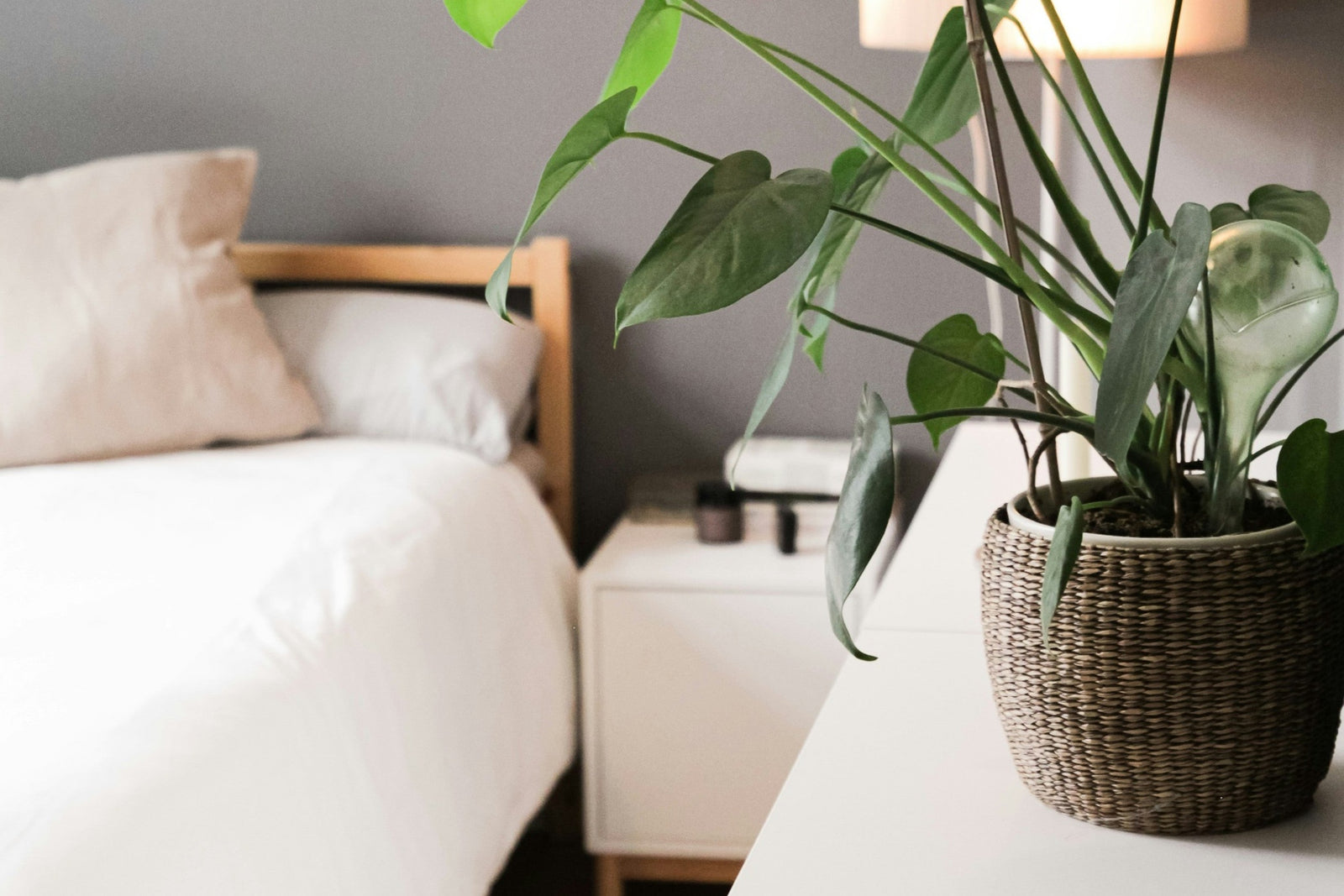 drap housse gros bonnet