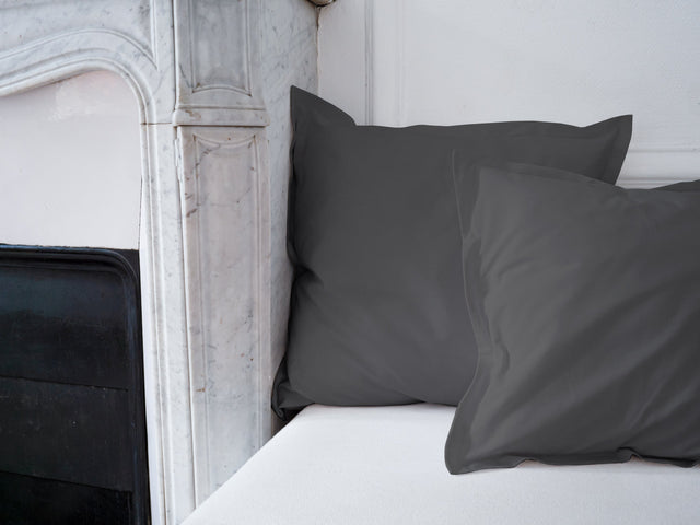 Dejorine - Housse de coussin en Coton - Teinte Reflet d'ardoise - Couleur Gris Souris